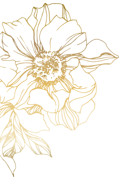 blume links 1